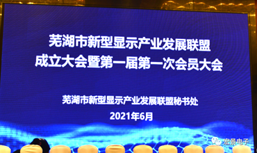 芜湖市新型显示产业发展联盟成立大会! 宏景电子当选第一届秘书处秘书长单位